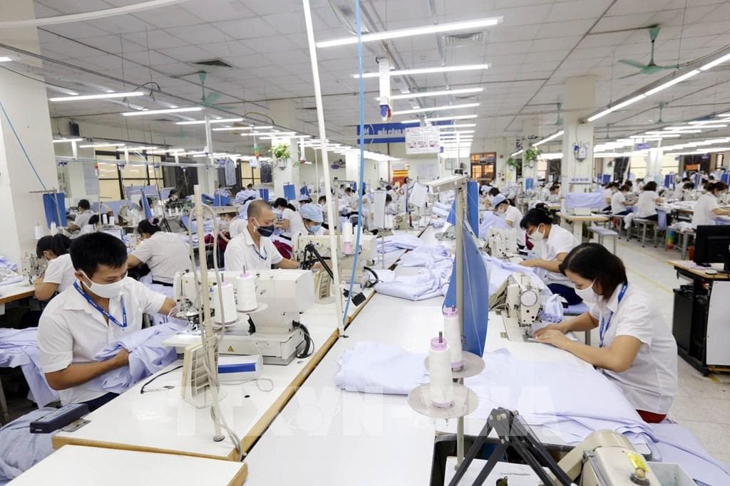 công ty may mặc lớn nhất ở Việt Nam