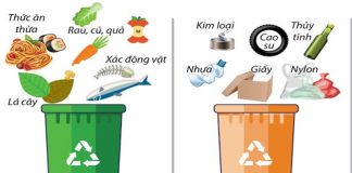 biện pháp xử lý rác thải hữu cơ