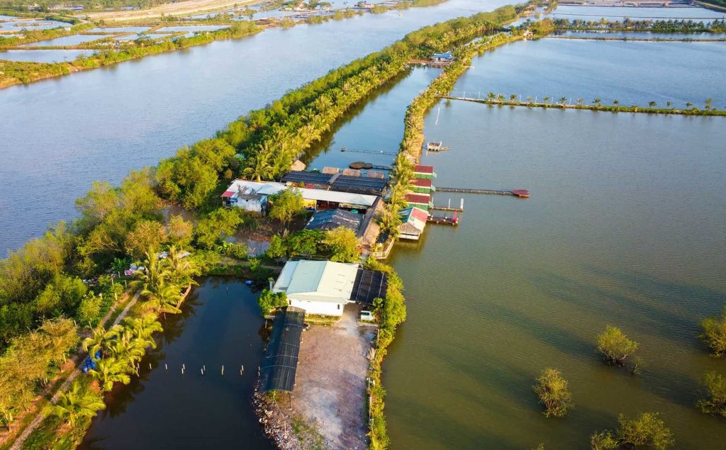 đơn vị Sinh Thái Thiên Quang