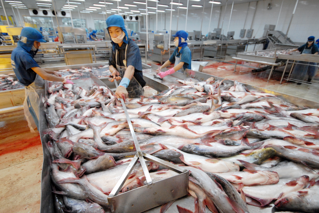 mở công ty kinh doanh chế biến thủy hải sản